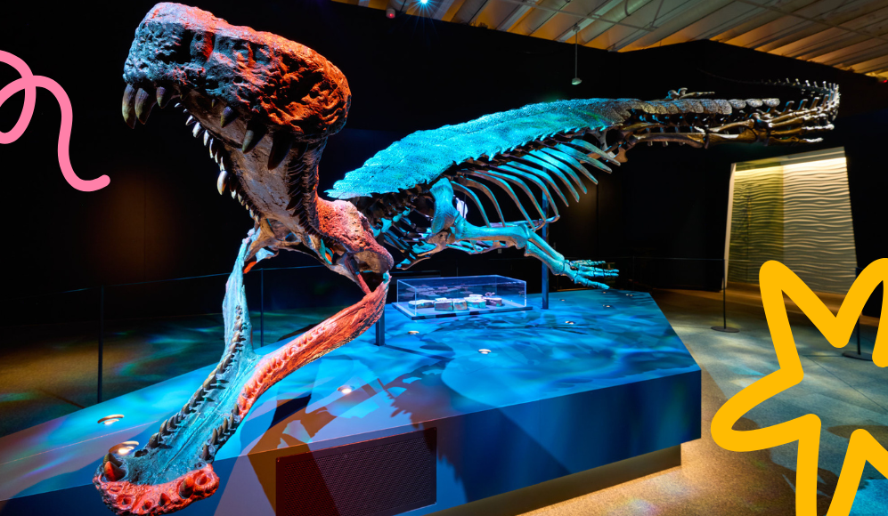 What's New in Brisbane for Kids This Spring